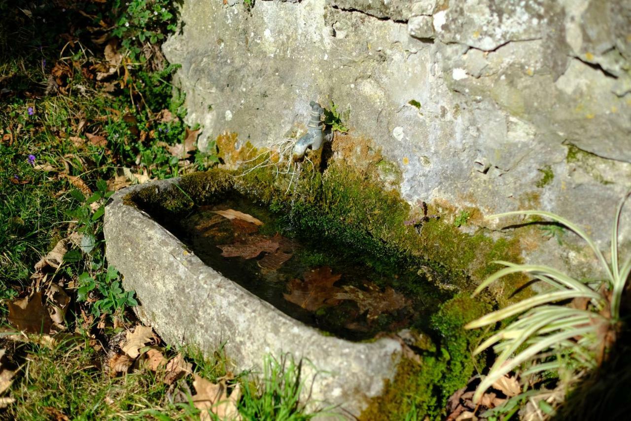 Villa Il Sorriso Bivigliano Buitenkant foto